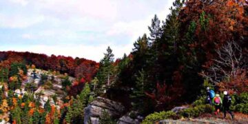 Συνεδρίαση Τοπικού Συμβουλίου Δημοτικής Κοινότητας Σιάτιστας