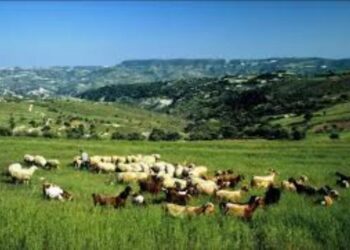Ηλεκτρονική καταγραφή των μητρώων των αιγοπροβατοτρόφων του Ν. Γρεβενών μέχρι τέλος Νοεμβρίου