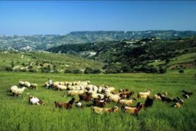 Ηλεκτρονική καταγραφή των μητρώων των αιγοπροβατοτρόφων του Ν. Γρεβενών μέχρι τέλος Νοεμβρίου