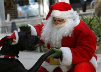 Έκκληση βοήθειας από τους Εθελοντές Κυνοκομείου Πτολεμαΐδας