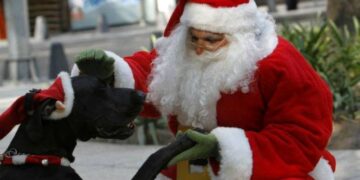 Έκκληση βοήθειας από τους Εθελοντές Κυνοκομείου Πτολεμαΐδας