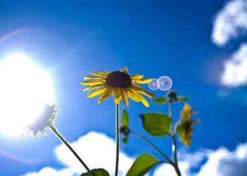 Αίθριος ο καιρός σε όλη τη χώρα – Μικρή άνοδος θερμοκρασίας