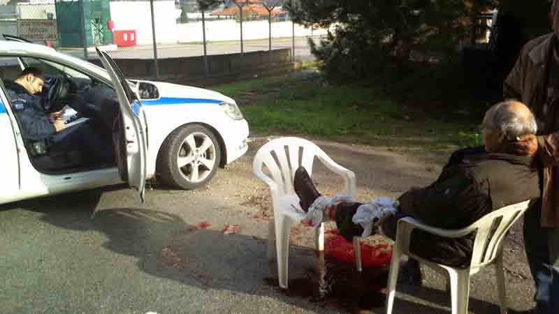 epithesi skilion se anthropo04