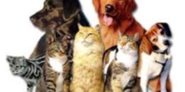 Μπαζάρ από τον Φιλοζωικό Σύλλογο Πτολεμαΐδας