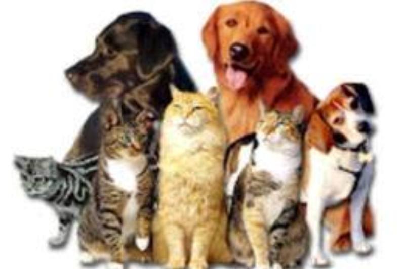 Μπαζάρ από τον Φιλοζωικό Σύλλογο Πτολεμαΐδας