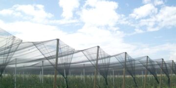 Π.Ε. ΚΟΖΑΝΗΣ: 1.243.788 Ευρώ για επιχορήγηση αντιχαλαζικών δικτύων