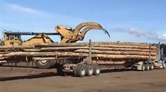 Έτσι ξεφορτώνονται κορμοί 75 τόνων