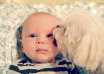 Μοναδικό: Ντοκιμαντέρ για πολλά δάκρυα για τη σχέση ενός άρρωστου παιδιού με το σκύλο του