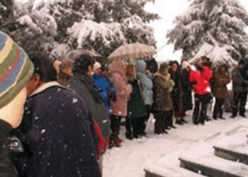 Κοπή Βασιλόπιτας Οικολογικής Κίνησης Κοζάνης