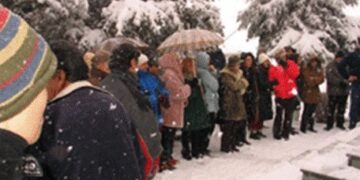 Κοπή Βασιλόπιτας Οικολογικής Κίνησης Κοζάνης