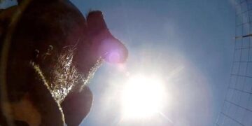 Κάμερα έπεσε από αεροπλάνο και προσγειώθηκε σε φάρμα με γουρούνια!