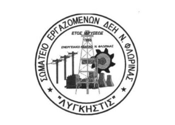 Σ. Ε. ΔΕΗ «ΛΥΓΚΗΤΣΤΙΣ» Ερωτήσεις προς το Δ.Σ. της ΔΕΗ Α.Ε.