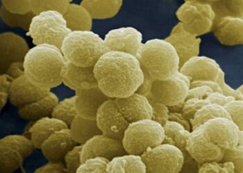 Νέο τεστ για τη διάγνωση της μηνιγγίτιδας