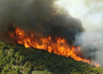 Πυρκαγιές σε δάση της ΠΕ Καστοριάς