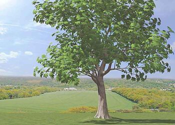 «Το περιβάλλον κι εγώ» στο Ψηφιακό Πλανητάριο