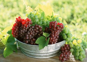 ΕΩΣ 15 ΜΑΪΟΥ Υποβολή αιτήσεων εκδήλωσης ενδιαφέροντος για το Πρόγραμμα Αναδιάρθρωσης και μετατροπής των αμπελώνων για το έτος 2014