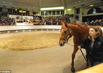 Δείτε το άλογο που αξίζει όσο 17 Λαμποργκίνι