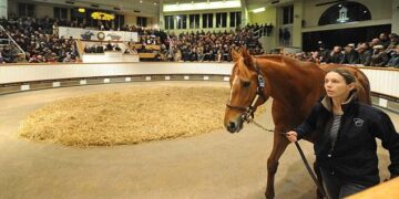 Δείτε το άλογο που αξίζει όσο 17 Λαμποργκίνι