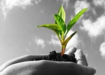 ΑΠΟ ΤΙΣ ΔΑΣΙΚΕΣ ΥΠΗΡΕΣΙΕΣ ΤΗΣ ΑΠΟΚΕΝΤΡΩΜΕΝΗΣ ΔΙΟΙΚΗΣΗΣ ΗΠΕΙΡΟΥ-ΔΥΤΙΚΗΣ ΜΑΚΕΔΟΝΙΑΣ: Εκδηλώσεις για την Παγκόσμια Ημέρα Δασοπονίας