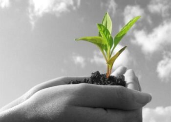 Εθελοντική Δεντροφύτευση στην Καρυδίτσα