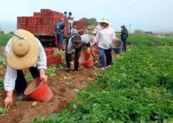 Ενισχύσεις ύψους 139.658 ευρώ σε 72 παραγωγούς
