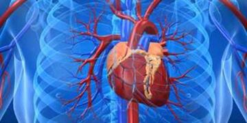 Πέθανε ο ασθενής με την τεχνητή καρδιά