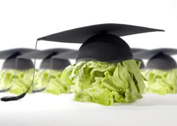 Τι να «ταΐσω» το μυαλό μου;