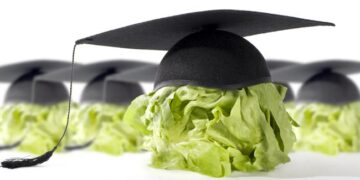 Τι να «ταΐσω» το μυαλό μου;