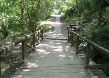 Εξόρμηση ΟΛΕ στο ηρωικό χωριό ΣΚΡΑ