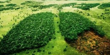 «Πεθαίνει» ο πνεύμονας της Γης