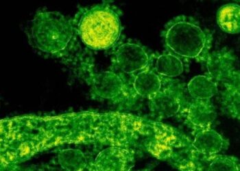 Σαουδική Αραβία: Στους 92 οι νεκροί από τον κορονοϊό