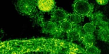 Σαουδική Αραβία: Στους 92 οι νεκροί από τον κορονοϊό