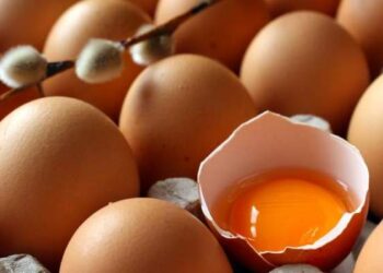 Αυγομαχίες στο Δρέπανο!