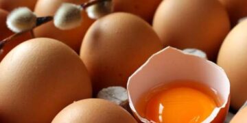 Αυγομαχίες στο Δρέπανο!