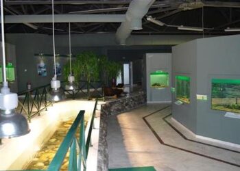 Στην Καστοριά το μεγαλύτερο ενυδρείο γλυκού νερού των Βαλκανίων