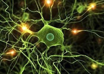 Βλαστοκυτταρική θεραπεία για την πολλαπλή σκλήρυνση