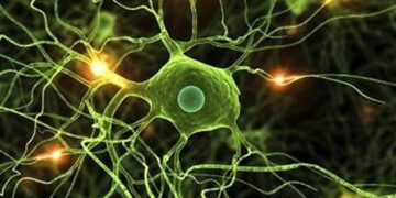 Βλαστοκυτταρική θεραπεία για την πολλαπλή σκλήρυνση