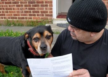 Βρετανία: Ροτβάιλερ απέκτησε… εκλογικό βιβλιάριο για να ψηφίσει στις ευρωεκλογές