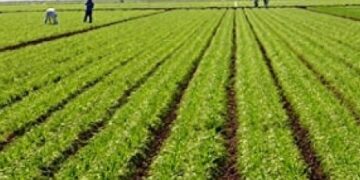 Μέχρι 6 Ιουνίου η υποβολή αιτήσεων για το πρόγραμμα εγκατάστασης νέων γεωργών 2014