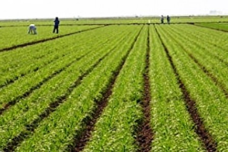 Μέχρι 6 Ιουνίου η υποβολή αιτήσεων για το πρόγραμμα εγκατάστασης νέων γεωργών 2014