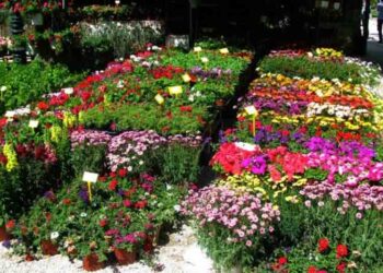 ΣΤΟ ΕΚΘΕΣΙΑΚΟ ΚΕΝΤΡΟ ΚΟΖΑΝΗΣ ΣΤΑ ΚΟΙΛΑ: Ανοίγει τις πύλες της η 9η «Ανθοκομική  Έκθεση & Ειδών Κήπου»