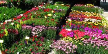 ΣΤΟ ΕΚΘΕΣΙΑΚΟ ΚΕΝΤΡΟ ΚΟΖΑΝΗΣ ΣΤΑ ΚΟΙΛΑ: Ανοίγει τις πύλες της η 9η «Ανθοκομική  Έκθεση & Ειδών Κήπου»