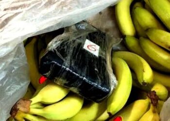 Βρήκαν 17 κιλά κοκαΐνης μέσα σε μπανάνες
