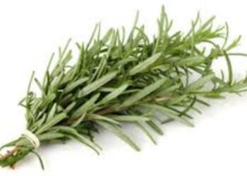 Διημερίδα για την ανάδειξη της καλλιέργειας των Αρωματικών, Αρτυματικών και Φαρμακευτικών Φυτών