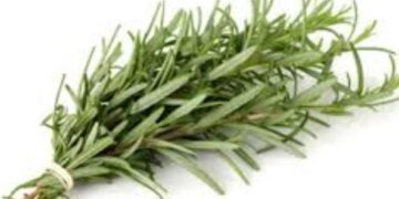 Διημερίδα για την ανάδειξη της καλλιέργειας των Αρωματικών, Αρτυματικών και Φαρμακευτικών Φυτών