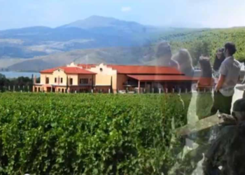 ΚΤΗΜΑ ΑΛΦΑ – Ανοιχτές Πόρτες 2014 – διαφημιστικά spots