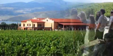 ΚΤΗΜΑ ΑΛΦΑ – Ανοιχτές Πόρτες 2014 – διαφημιστικά spots