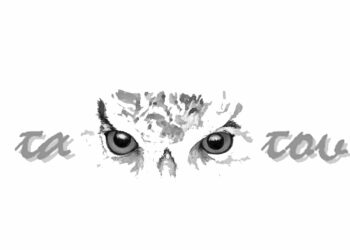 ΑΚΟΥΣΑΜΕ – Η Συντακτική Ομάδα