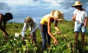 Παράταση υποβολής αιτήσεων για νέους γεωργούς