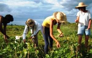 Παράταση υποβολής αιτήσεων για νέους γεωργούς